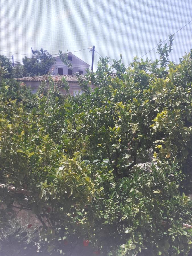 מלון Mytilíni Thalia'S Garden מראה חיצוני תמונה