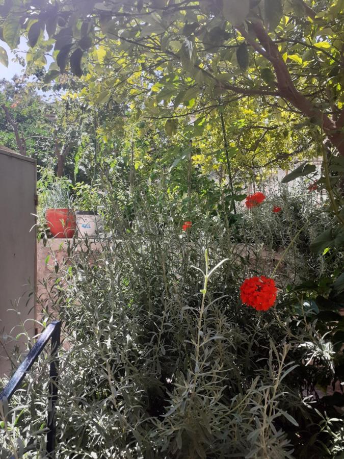 מלון Mytilíni Thalia'S Garden מראה חיצוני תמונה